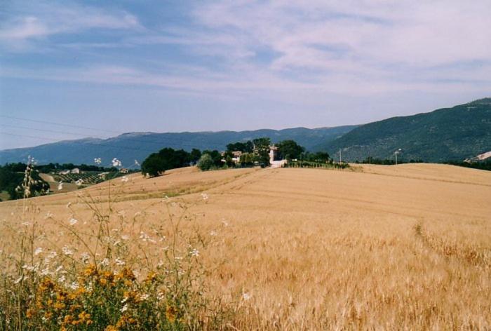 Casale Santomanno Villa Acquasparta Exterior foto